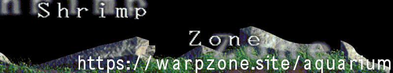 a header for The Shrimp Zone with its URL on top